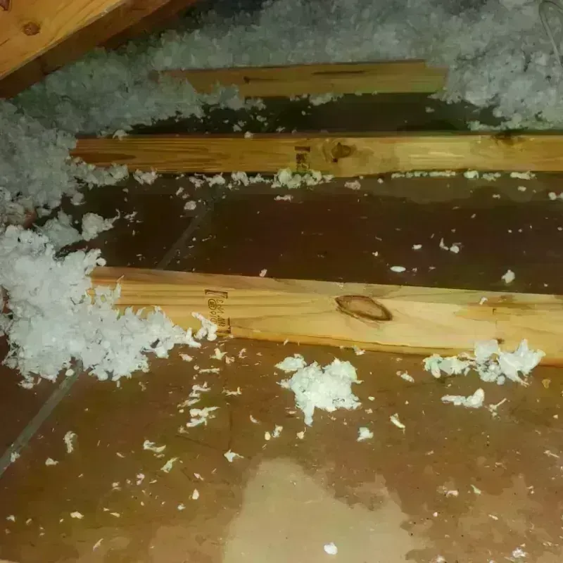 Attic Water Damage in Wilson County, TX