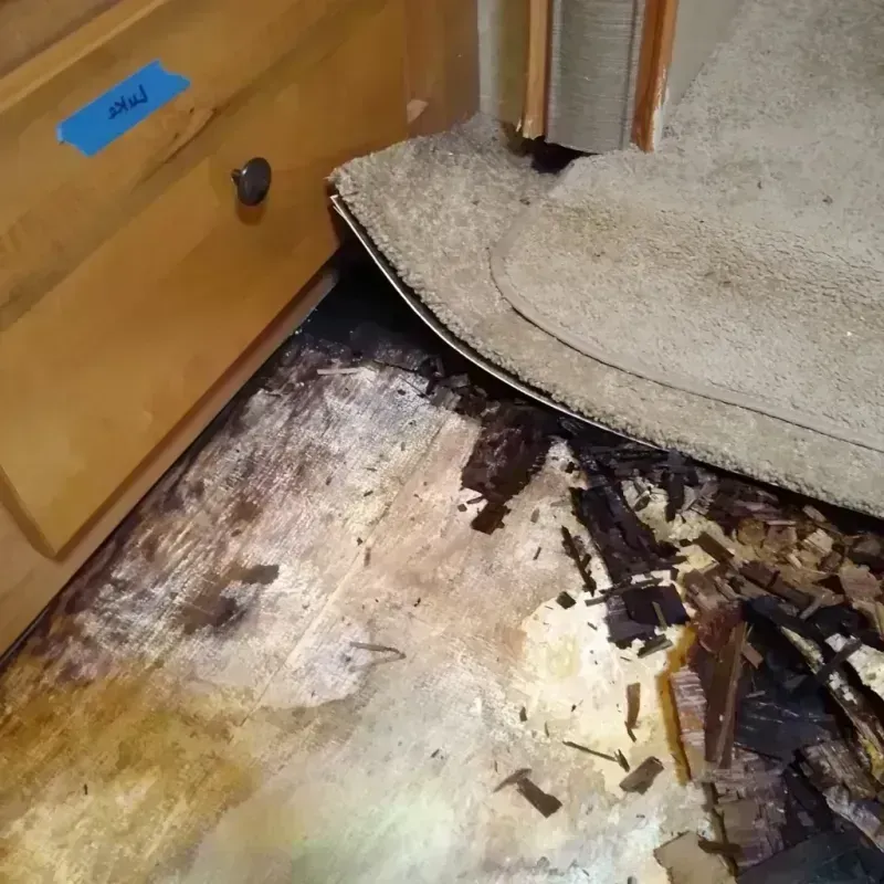 Wood Floor Water Damage in Wilson County, TX